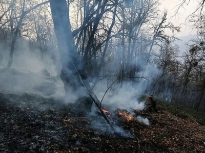 مهار آتش‌سوزی در ۲۰ هکتار از عرصه‌های جنگلی گیلان