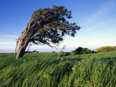 وزش باد گرم و افزایش دمای هوا در گیلان تا هفته آینده
