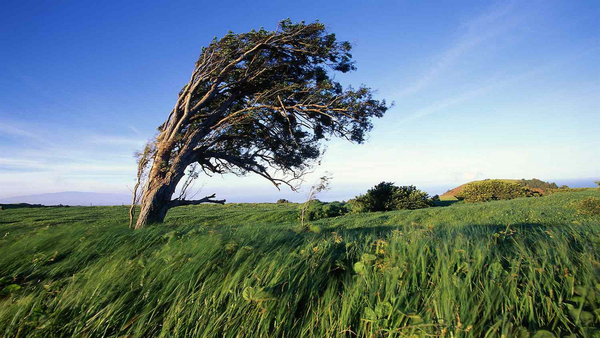 وزش باد گرم و افزایش دمای هوا در گیلان تا هفته آینده
