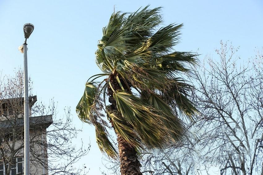 هشدار هواشناسی گیلان ؛ مه ساحلی و بادگرم همزمان می‌آیند