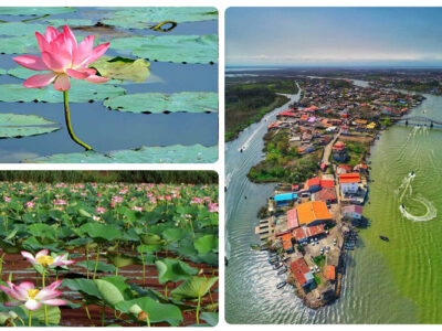 گیلان آماده نوروز ۱۴۰۵؛ رزرو هتل و خدمات آنلاین نوروزی فعال شد