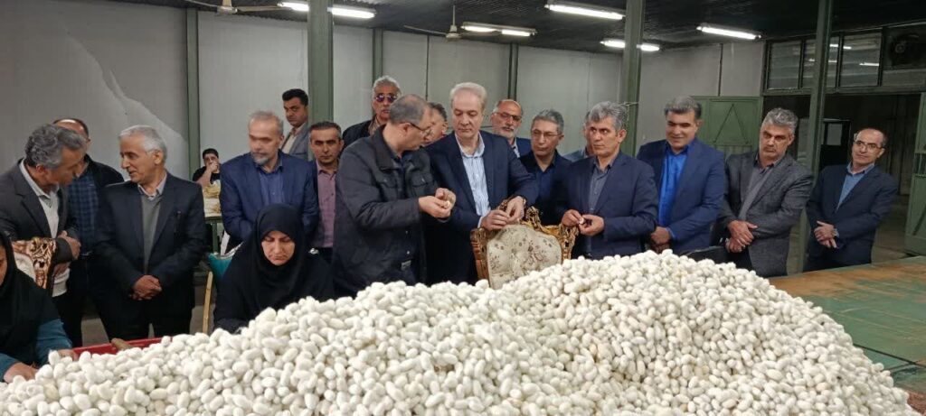 معاون وزیر جهاد کشاورزی: صنعت ابریشم گیلان احیا می‌شود