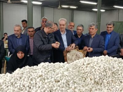 معاون وزیر جهاد کشاورزی: صنعت ابریشم گیلان احیا می‌شود