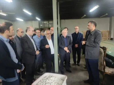 پیوند دانشگاه و صنعت برای رونق ابریشم گیلان تقویت شد