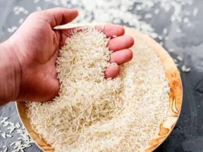 آغاز شناسنامه‌دار شدن محصولات کشاورزی در گیلان