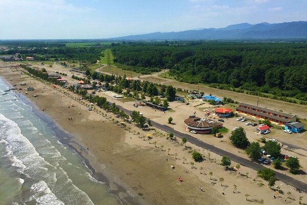 درختکاری در ۸۲ هکتار از سواحل گیلان