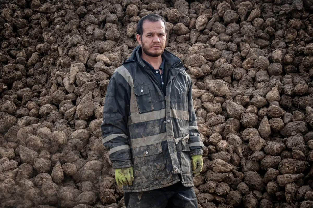 شرایط دریافت بیمه‌ بیکاری در دوران جنگ/ کدام کارگاه‌ها می‌توانند از مزایای «تعلیق قرارداد» بهره‌مند شوند؟