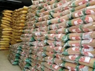 تشکیل پرونده ۴۸ تن برنج قاچاق به ارزش ۱۰۰ میلیارد ریال در لوندویل