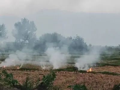 هشدار جدی آتش‌نشانی رشت درباره آتش‌زدن علف‌زارها؛ ۳۵۷ حریق در ۴ ماه