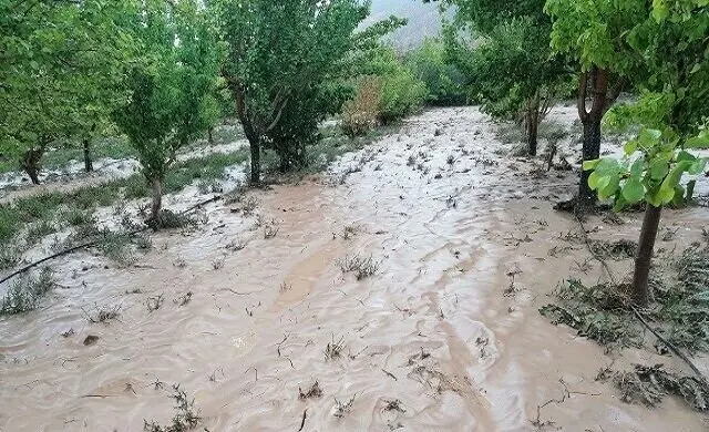 باران-سیل