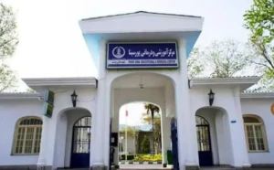پورسینا ۳۲۰ تختخوابی می‌شود