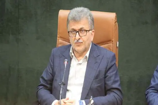 نظام شبکه بهداشت