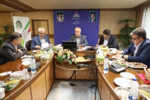 کوچکی‌نژاد : تأمین سوخت زمستانی باید جدی گرفته شود